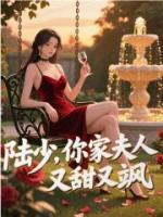 陆少,你家夫人又甜又飒