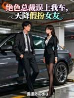 绝色总裁误上我车，天降假扮女友