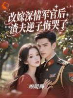 改嫁深情军官后，渣夫逆子悔哭了