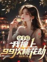 分手后,我撞上99次桃花劫