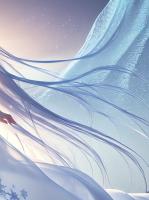 我只是想离个婚而已