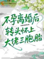 不孕离婚后，转头怀上大佬三胞胎