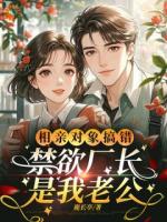 相亲对象搞错,禁欲厂长是我老公