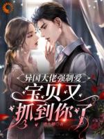 异国大佬强制爱,宝贝又抓到你了