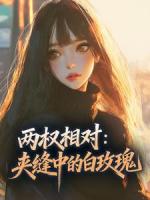 两权相对：夹缝中的白玫瑰