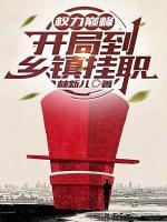 权力巅峰：开局到乡镇挂职