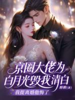 京圈大佬为白月光毁我清白,我提离婚他悔了