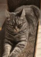 流产那天，他把我锁进了地下室