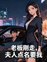 老板刚走，夫人点名要我张成林晚姝苏晴免费阅读全文章节推荐