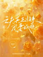 重生七零，亡夫兵王归来宠妻成瘾