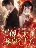 离婚吧！傅太太掀桌不干了