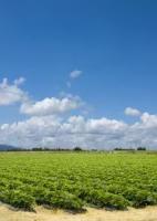 蓄谋已久说走就走