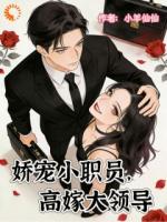 娇宠小职员，高嫁大领导