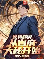 权势巅峰：从省府大秘开始