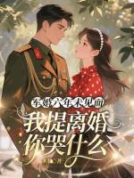 六年未见面，我提离婚你哭什么