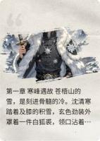 云寒劫：双剑破影