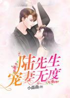 陆先生，宠妻无度