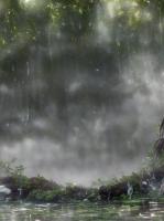 误我心上月沈琳云傅贺声