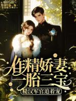 作精娇妻一胎三宝,糙汉军官追着宠