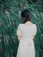 离歌散入春风里