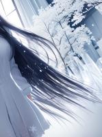 流浪的乌鸦与我