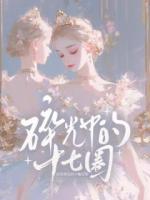 碎光中的十七圈