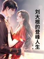 刘大根的登峰人生