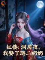红楼：洞房夜，我娶了琏二奶奶