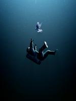 腹中胎儿有神通，我靠赌石手撕渣皇