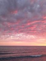 出差一年妻子怀孕八个月，这绿帽侠老子不当了全文免费阅读 佚名小说最新章节目录