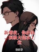 新婚夜,你出轨,顶级大佬求上位