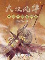 公孙无咎小说大汉风华从扫平西域开始最新章节全文阅读