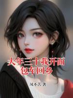 大年三十我开面包车回乡