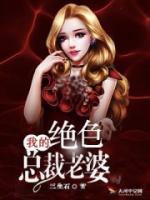 我的绝色总裁老婆