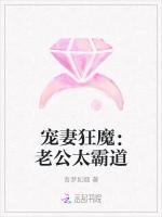 宠妻狂魔：老公太霸道