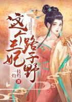 这个王妃路子野